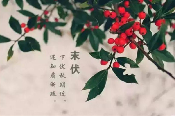 末伏會比中伏熱嗎 末伏會不會涼快點(diǎn)