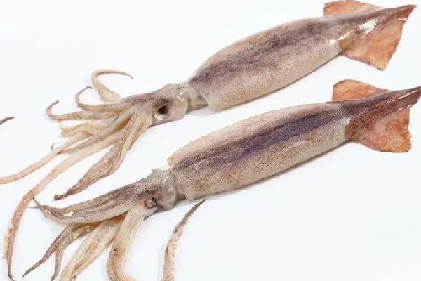 新鮮魷魚(yú)有黑點(diǎn)是不是壞了 新鮮魷魚(yú)有點(diǎn)酸能吃嗎