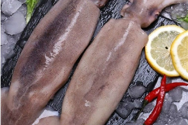 新鮮魷魚(yú)和泡發(fā)魷魚(yú)的區(qū)別 新鮮魷魚(yú)買(mǎi)大的好還是小的好