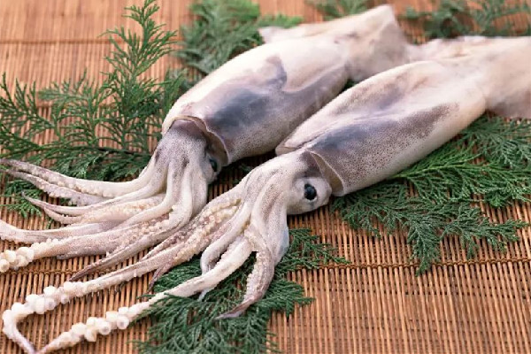 新鮮魷魚(yú)有堿味有害嗎 新鮮魷魚(yú)為什么有堿味