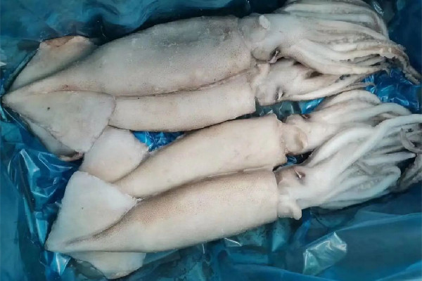 新鮮魷魚(yú)會(huì)泡藥水嗎 新鮮魷魚(yú)買(mǎi)回來(lái)要怎么清洗