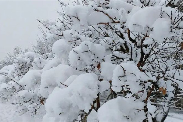 今冬初雪時(shí)間表出爐 初雪有什么特別的含義嗎