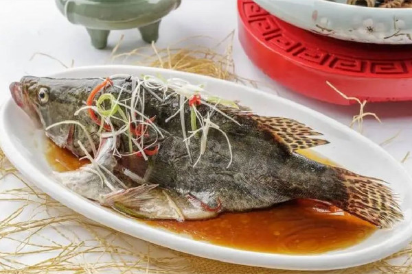 桂花魚(yú)多少錢(qián)一斤2023年市場(chǎng)價(jià) 桂花魚(yú)屬于海鮮嗎
