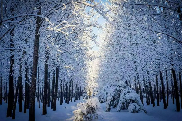 今年以來(lái)最大范圍雨雪來(lái)襲 雨雪天氣會(huì)影響飛機(jī)起飛嗎
