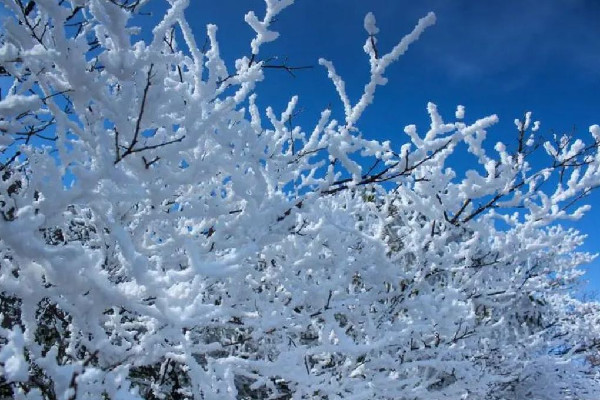 今年以來(lái)最大范圍雨雪來(lái)襲 雨雪天氣會(huì)影響飛機(jī)起飛嗎